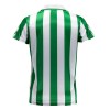 Camisola Real Betis special 2023-24 Manga Curta